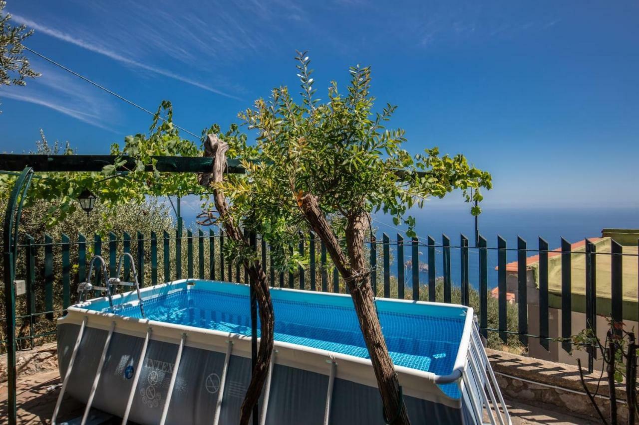 Villa Cinzia Sorrento/Amalfi Coast. Enchanting Sea Views Massa Lubrense Camera foto