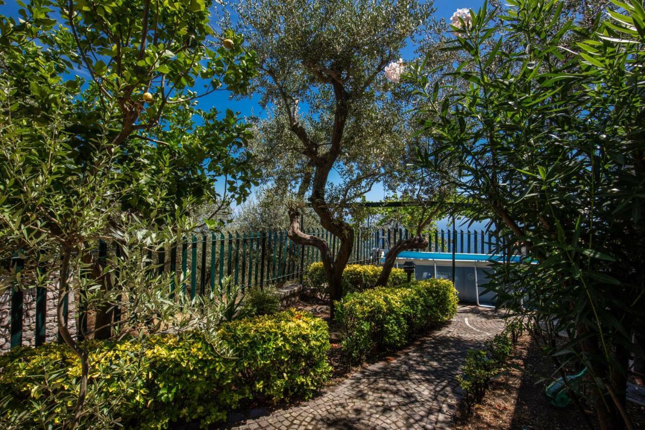 Villa Cinzia Sorrento/Amalfi Coast. Enchanting Sea Views Massa Lubrense Esterno foto