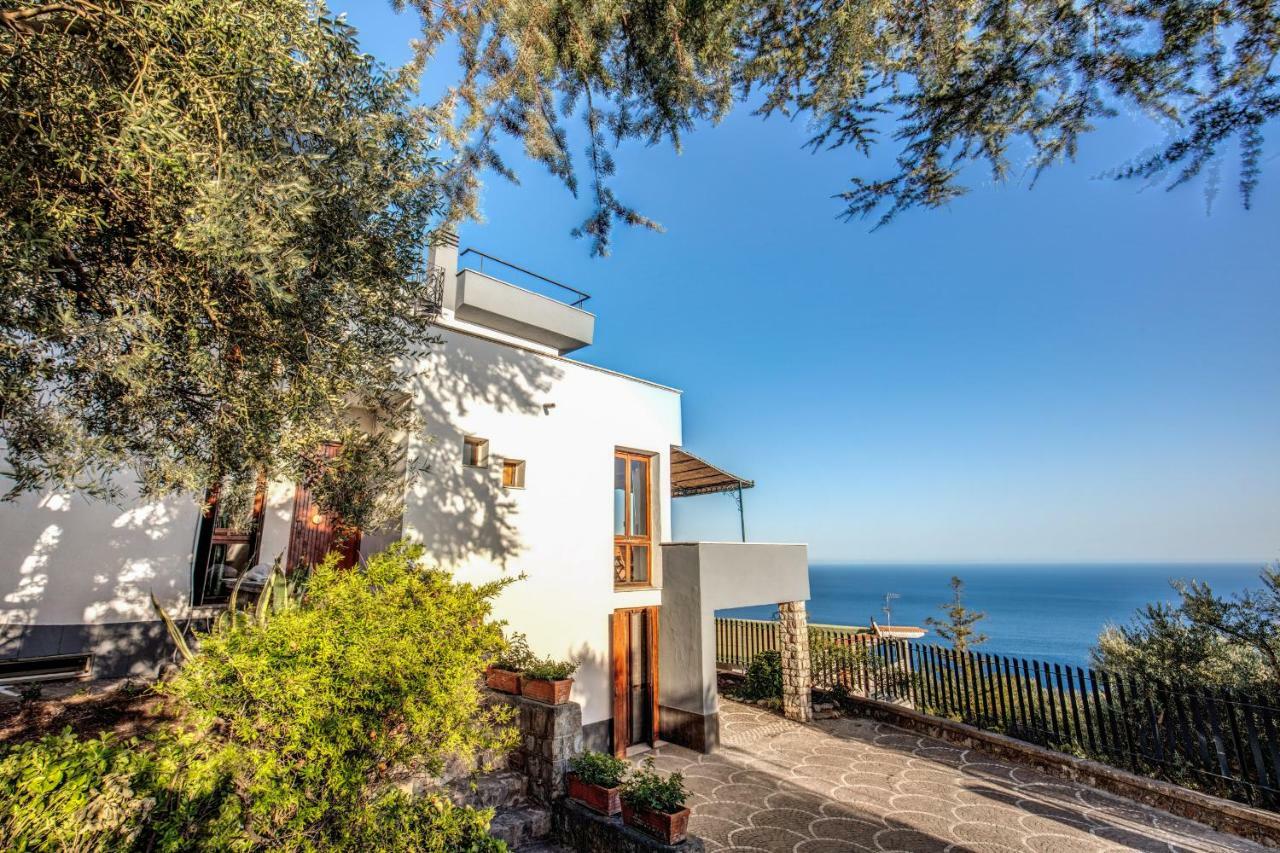 Villa Cinzia Sorrento/Amalfi Coast. Enchanting Sea Views Massa Lubrense Esterno foto